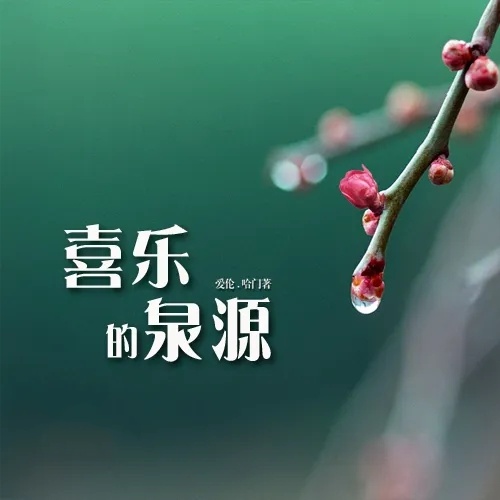 喜乐的泉源｜1-13讲 音频汇总